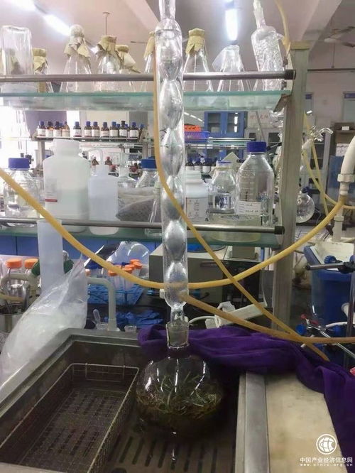 吉林柳河縣 以葡聚糖大米技術開發引領農業升級，推動農民持續增收