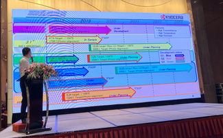 自動(dòng)駕駛技術(shù)與車(chē)載顯示屏的未來(lái) 精簡(jiǎn)還是變革？